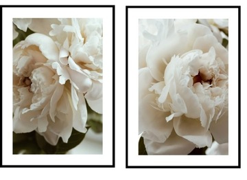 PLAKATY Zestaw 2szt 40x50 kremowe peonie jasny beż wiosna lato do sypialni