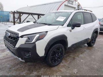 Subaru Forester V 2023 Subaru Forester Wilderness 2023 2.5 Benzyna 182KM, zdjęcie 1
