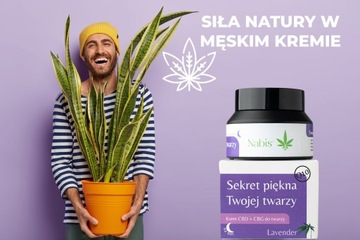 КРЕМ ДЛЯ МУЖЧИН с CBD&CBG Ночной крем КРЕМ ДЛЯ ЛИЦА ДЛЯ МУЖЧИН 50мл