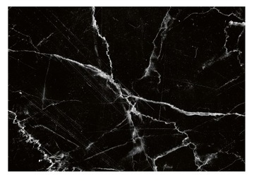 Fototapeta MARMUR GLAMOUR Imitacja Kamień 254x184