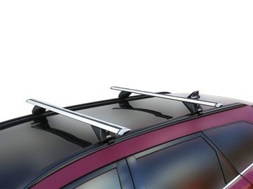 БАГАЖНИК НА КРЫШЕ СО ВСТРОЕННЫМИ АЛЮМИНИЕВЫМИ БАЛКАМИ