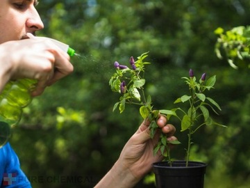 МАСЛО НИМА НЕРАфинированное, НАТУРАЛЬНОЕ, ХОЛОДНОГО ОТЖИМА 1л.