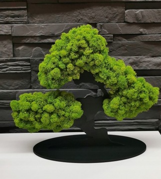 Дерево бонсай с 3D мхом, красивый мох со всех сторон