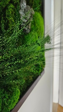 Żywy obraz z mchu dżungla 3D panel z mchu 90 x 60cm rama drewno czarny mat