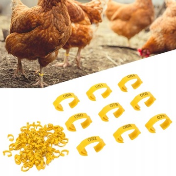 Кольцевые маркеры для кур гусей 100 шт.
