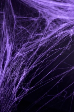 Паутина Искусственная паутина Хэллоуин 2 паука