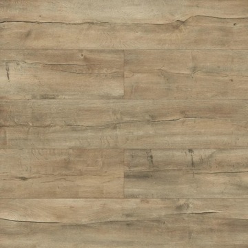 Panele podłogowe laminowane Dąb Sodova AC6 10 mm Promo Flooring