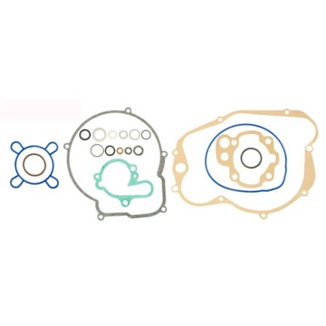 USZCZELKA SILNIKA MINARELLI AM6 2 VERSION KPL. RMS