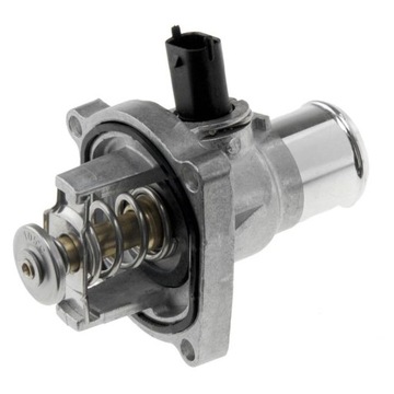 TERMOSTAT Z OBUDOWĄ CTM-PL-000