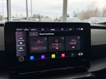 Cupra Formentor Crossover 2.0 TSI 190KM 2024 Cupra Formentor 4Drive DSG ACC Pakiet Comfort Ambiente Kamera LED, zdjęcie 29