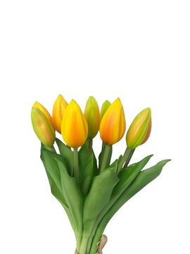 TULIPANY TULIPAN BUKIET 9SZT GUMOWANE ŻÓŁTE POMARA
