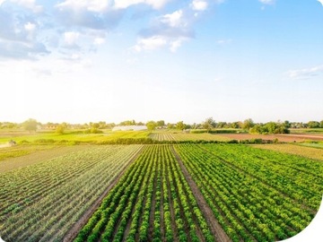 МОСПИЛАН 20 СП 20г РАСПЫЛИТЕЛЬ-ИНСЕКТИЦИД ПРОТИВ ТЛИ, ТЛИ.