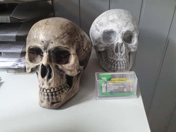 Череп Голова Хэллоуин БОЛЬШОЙ 20 см XXXL