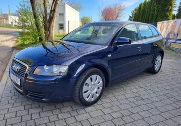 Audi A3 8P Hatchback 3d 1.9 TDI 105KM 2006 Audi A3 1.9 TDI 105km Tempomat 5 drzwi Zarejes...