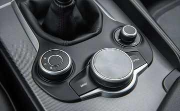 Alfa Romeo Giulia II Sedan 2.2 JTD 180KM 2016 Alfa Romeo Giulia 2.2D 180Ps Ledy Skora Bixenon Navi 1 wlasciciel BEZWYPAD, zdjęcie 23