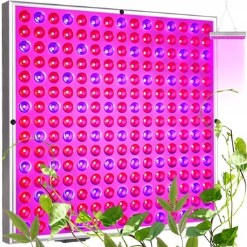 LAMPA DO WZROSTU ROŚLIN PANEL 225 LED DO UPRAWY 36W WISZĄCA ZESTAW + LINKI