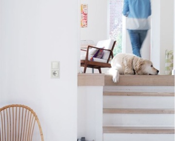 BERKER B.Kwadrat Одинарная белая рамка 5310118989