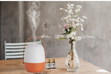 Фонарь, портативный диффузор ароматерапевтического масла Aroma Sweet, аккумуляторная батарея