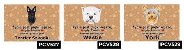 TABLICZKA PCV CIEMNO BRĄZOWY ŻYCIE JEST PIĘKNE CHOW CHOW PREZENT MIX WZORÓW