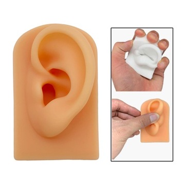 Модель уха Силиконовое искусственное ухо Модель уха