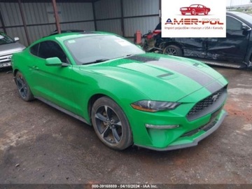 Ford Mustang VI 2019 Ford Mustang 2019r, Ecoboost, 2.3L 2.3 Benzyna 310KM