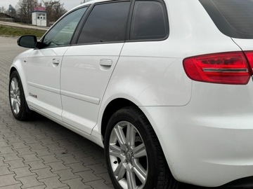Audi A3 8P Hatchback 3d 1.6 TDI 105KM 2012 Audi a3 1.6 TDI 105KM LED KAMERA Bezwypadkowy, potwierdzony przebieg 1.6, zdjęcie 15