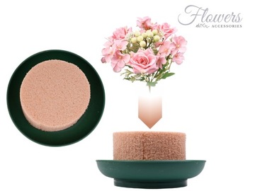 Citotola Mini Set 2 ПК сухой губка