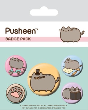 Pusheen Fancy 5 przypinek z kotem dla dziecka