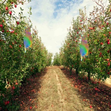 Репеллент от птиц, голуби, скворцы, воробьи, отпугиватель птиц на балконе, голуби