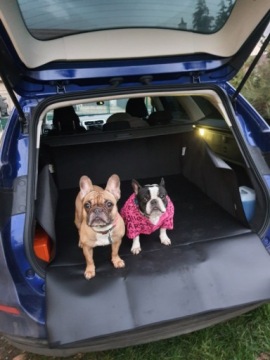 Автомобильный коврик Dog Car Mat Car Boot Cover XXL