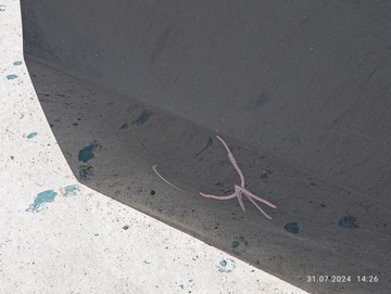 ДВЕРЬ ПЕРЕДНЯЯ ПРАВАЯ MERCEDES VITO W447 V CLASS A4477220616