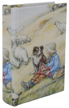 Коробка коробка книга шелковой пастух подарок