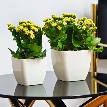 Крышка для цветочного горшка квадратная 8х8 см ЖЕЛТАЯ Желтый