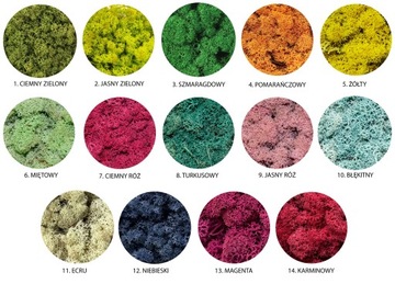 Мох Олений Хроботек для декора 25г