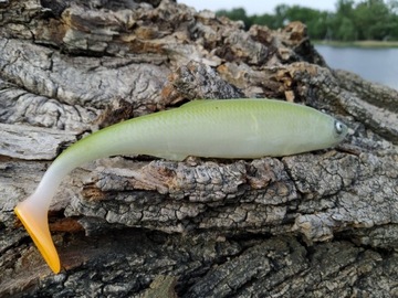 SEWRO CUSTOM UKLEJA oliwka 16cm kopyto