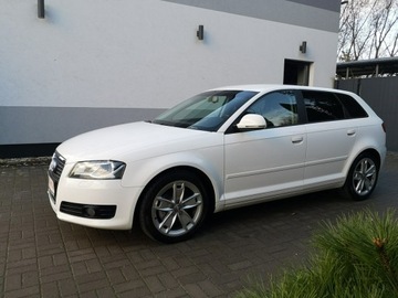 Audi A3 8P Hatchback 3d 2.0 TDI CR 140KM 2009 Audi A3 2.0 TDI 140KM # Klimatr # Ledy # Bi-XENON, zdjęcie 9