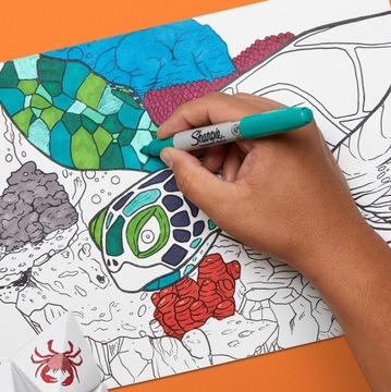Перманентные маркеры Sharpie Cosmic Colors 5 цветов