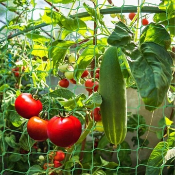 Опора с сеткой для томатов 16мм х 180 х 320см - Каркас садовый для винограда