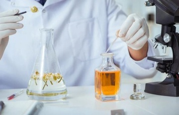 Perfumy 242 - SECRET SHELL 33ml - zapach damski