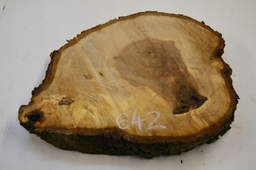 Plaster Drewna Kasztan 62x48 cm Gr. 6 cm