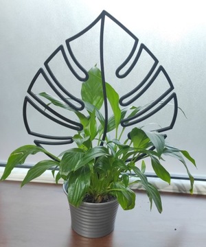 ПОДДЕРЖКА ДЛЯ РАСТЕНИЙ ДЛЯ ЦВЕТОВ ПЕРГОЛА МОНСТЕРА ЛИСТ 36см