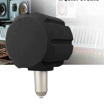 Nagrywanie za pomocą gąbki akustycznej na ekranie mikrofonu F2