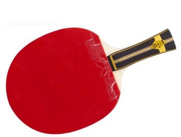 BUTTERFLY ZHANG JIKE + TENERGY 05 + HURRICANE III