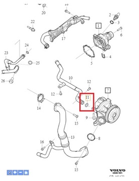 31109235 ORING MAGISTRALI WODNEJ OE VOLVO C70 V50
