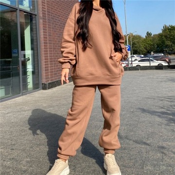 Autumn Winter Women Tracksuit Casual Fleecing Hood