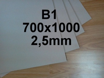TEKTURA INTROLIGATORSKA MODELARSKA 700x1000 2,5mm