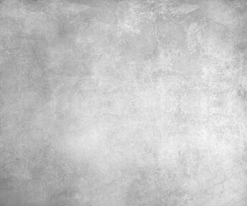 FOTOTAPETA 300x254 tapeta na flizelinie LOTF #F090