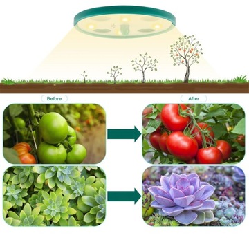 5X МИНИ-ТЕПЛИЦА С СВЕТОМ, ЛОТОК ДЛЯ РАЗМНОЖЕНИЯ ТЕПЛИЧНИКОВ