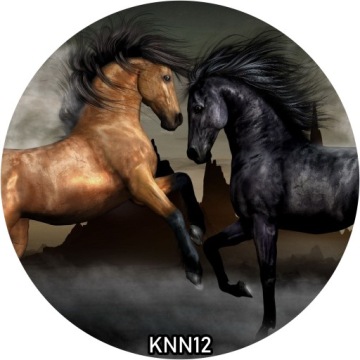 Украшение для торта вафельное HORSE круглое 20 см на день рождения