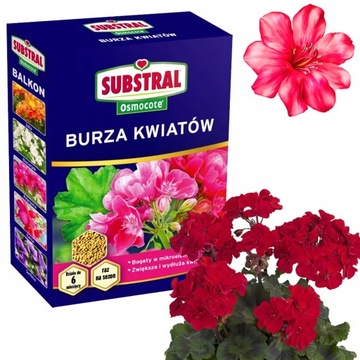 SUBSTRAL OSMOCOTE BURZA KWIATÓW BALKON NAWÓZ DO ROŚLIN BALKONOWYCH 300G